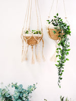 Load image into Gallery viewer, Plant Hanger - Nadu

