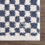 Load image into Gallery viewer, Kieu Blue &amp; White Checkered Area Rug
