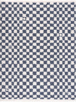 Load image into Gallery viewer, Kieu Blue &amp; White Checkered Area Rug
