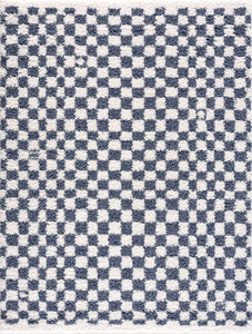 Kieu Blue & White Checkered Area Rug