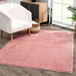 Load image into Gallery viewer, Judy Pink Washable Plush Rug
