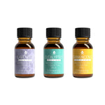 Load image into Gallery viewer, 3 Pack Aromatherapy Essential oils (Lavender, Eucalyptus, Frankincense)
