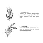 Load image into Gallery viewer, Eucalyptus + Lavender - Signature 3-Wick Candle
