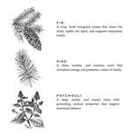 Load image into Gallery viewer, Forest Bathing - Signature 3-Wick Candle
