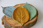 Load image into Gallery viewer, Small Leaf Dish
