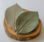 Load image into Gallery viewer, Large Leaf Dish
