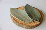 Load image into Gallery viewer, Large Leaf Dish
