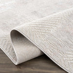Load image into Gallery viewer, Bucky Area Rug
