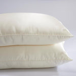 Load image into Gallery viewer, Silk pillow with silk shell
