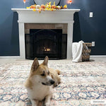 Load image into Gallery viewer, Rust Maligaya Distressed Washable Area Rug
