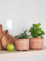 Load image into Gallery viewer, Hand Etched Terracotta Pot - Large
