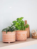 Load image into Gallery viewer, Hand Etched Terracotta Pot - Large
