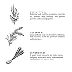 Load image into Gallery viewer, Shangri-La - Signature Candle (Eucalyptus + Lavender + Lemongrass)
