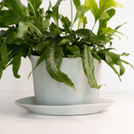 Load image into Gallery viewer, Geometric Oval Handmade Porcelain Planter
