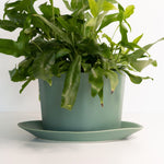 Load image into Gallery viewer, Geometric Oval Handmade Porcelain Planter
