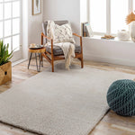Load image into Gallery viewer, Heavenly Solid Beige Plush Rug
