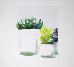 Load image into Gallery viewer, Succulent Art Print (4) on 11x14 Paper, Wall Art, Home Decor, Botanical Art
