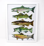 Load image into Gallery viewer, Fish Art Print- 11x14, Simple Outdoor Artwork, Animal Art, Fish Painting Print
