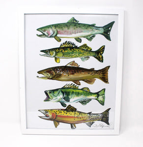 Fish Art Print- 11x14, Simple Outdoor Artwork, Animal Art, Fish Painting Print