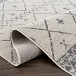 Load image into Gallery viewer, Newville Area Rug
